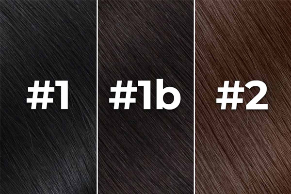 What's the hair color difference among 1#,1B and 2#