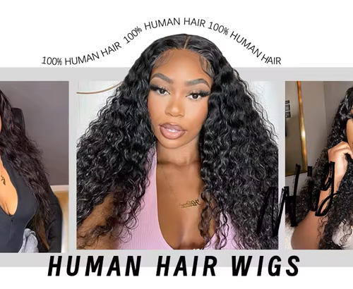 Human Hair Wigs